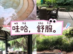 -青城道汤池