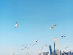 -东港音乐喷泉广场