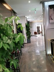 -崇尚GAVIN STYLE臻选