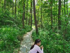 -青龙山国家森林公园