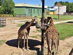 -鄂尔多斯野生动物园