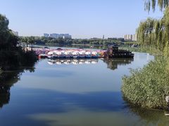 -大兴滨河森林公园