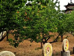 -天下黄河第一湾