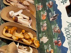 -芸山季·云南山珍菌火锅(人民广场来福士店)