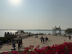 -宝安西湾红树林湿地公园