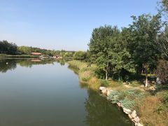 -大兴滨河森林公园