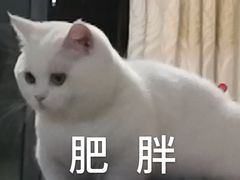 -西贝莜面村(镇江苏宁广场店)
