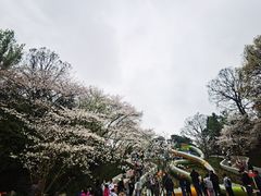 -杭州少年儿童公园