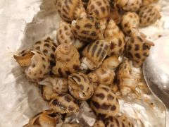 盐焗海螺-金翠皇宫粤菜·点心·海鲜(科技园店)