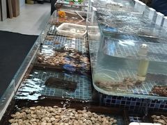 -天盛海鲜烧烤大排档·本地小海鲜·牟平腿穗子(幸福店)
