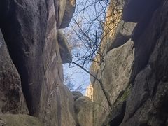 -鲁山国家森林公园