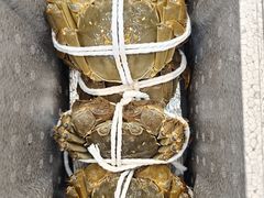 -蟹天蟹地农家菜·阳澄湖大闸蟹(浅水湾店)