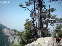 -王顺山国家森林公园