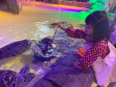 -华夏文旅海洋公园