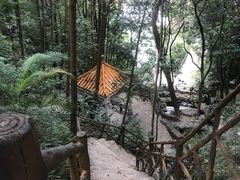 -广州市流溪河国家森林公园