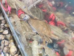 -港畔赶海蒸汽海鲜烧烤自助(仙螺岛店)