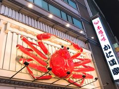 -蟹道乐(道顿堀本店)