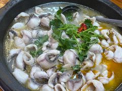 -大鼎石锅鱼(春江里店)
