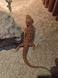 -酷嗒动物文化乐园(cutezoo西溪乐天城店)