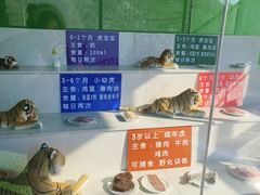 -横道河子东北虎林园