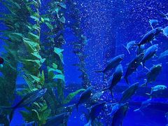 -南昌融创海世界