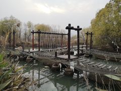 -长兴太湖图影湿地文化园