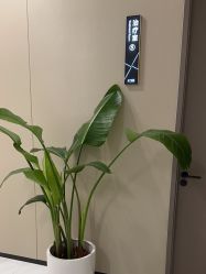 -木兰清颜医疗美容