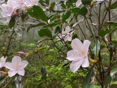 -萍乡武功山风景名胜区