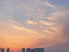 -瑶湖郊野森林公园