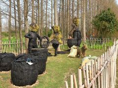 -上海长兴岛郊野公园