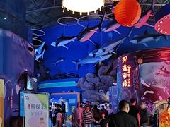 -烟台海昌鲸鲨海洋公园