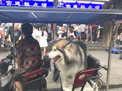 -宫廷糕点铺
