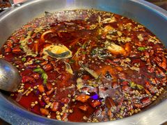 -红牌美蛙鱼头火锅(万辉国际广场店)