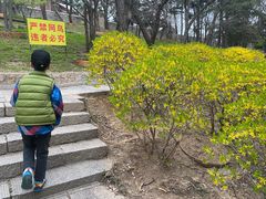 -观象山公园