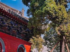 -洛阳白马寺