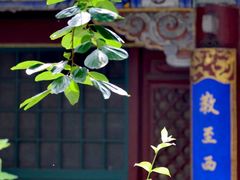 -潭柘寺景区