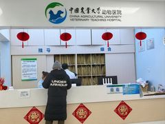 -中国农业大学动物医院