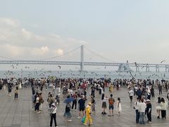 -星海广场
