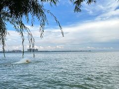 -滇池海埂公园