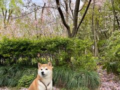 -黄兴公园