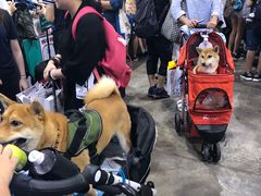 -香港会议展览中心演讲厅