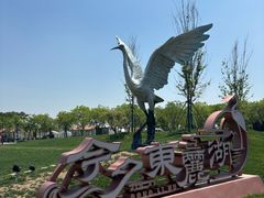 -天津东丽湖风景区