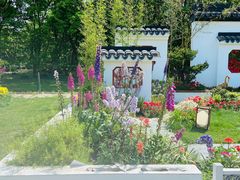 -上海共青森林公园