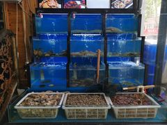 水产区-老东镇啤酒屋海鲜加工·蒸汽海鲜·海鲜烧烤(台东店)