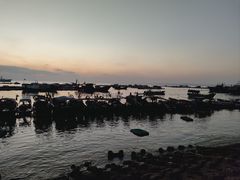 -硇洲岛旅游区