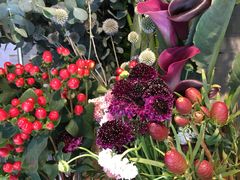 -爱尚幸福鲜花(上地实体店)