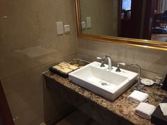 -圣爵菲斯大酒店(长沙世界之窗店)