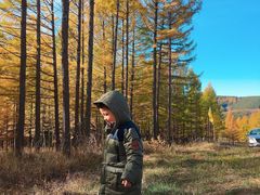 -塞罕坝国家级自然保护区