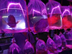 -华声天桥民俗文化园