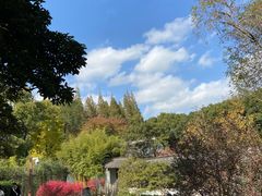 -上海醉白池公园
